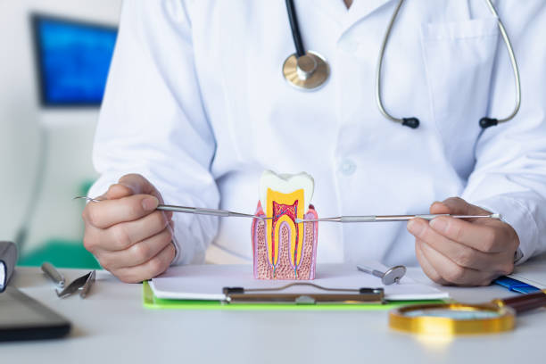 Best Emergency Root Canal Treatment in Cicero, IN